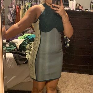 Ivy park dress
